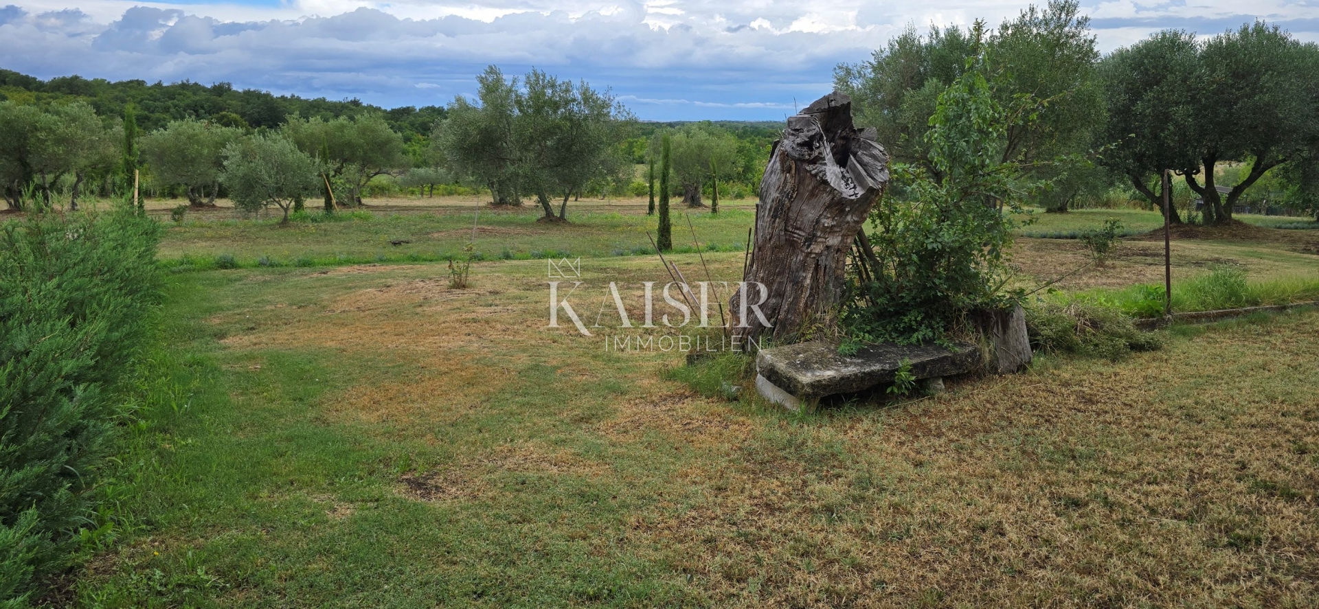 Istra, Juricani, Jedinstvena prilika!!!! Kamena kuća u prirodi sa zemljištem!!!!