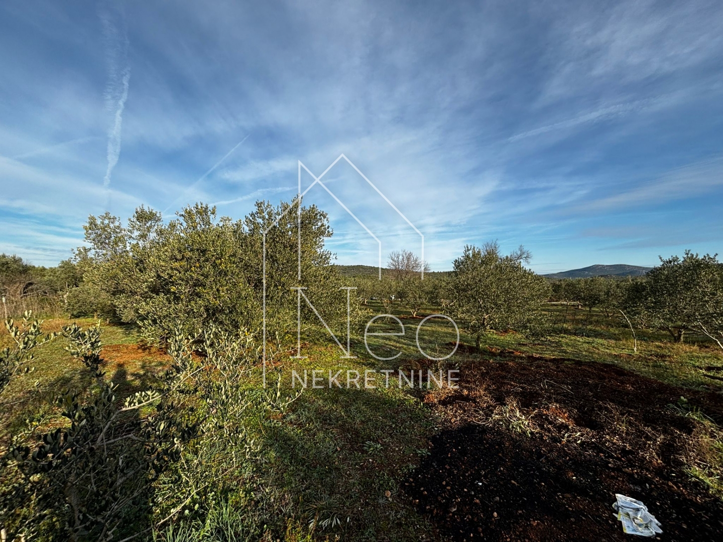 Uređen i održavan maslinik, 700 m od mora, 3647 m2